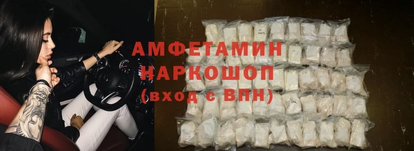 apvp Алексин