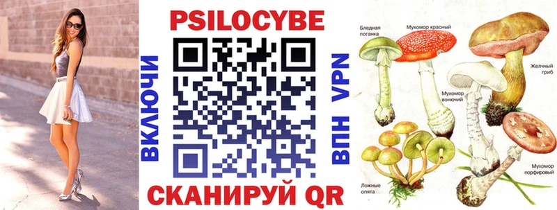 Галлюциногенные грибы Psilocybine cubensis  Архангельск 